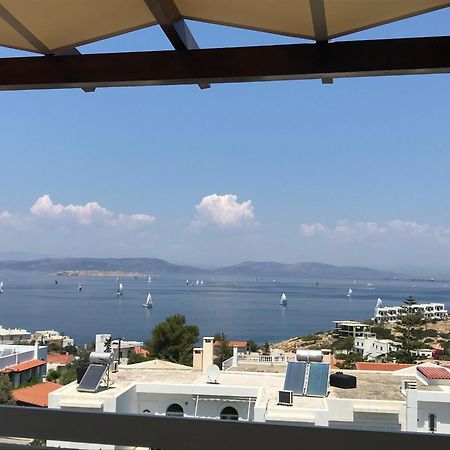 180° View To Sea Villa Vathi  Bagian luar foto