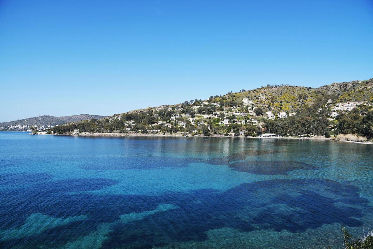 180° View To Sea Villa Vathi  Bagian luar foto